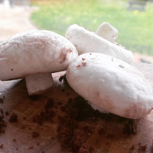 Ezek a világ legundoritóbb desszertjei! Felfordul a gyomrunk!