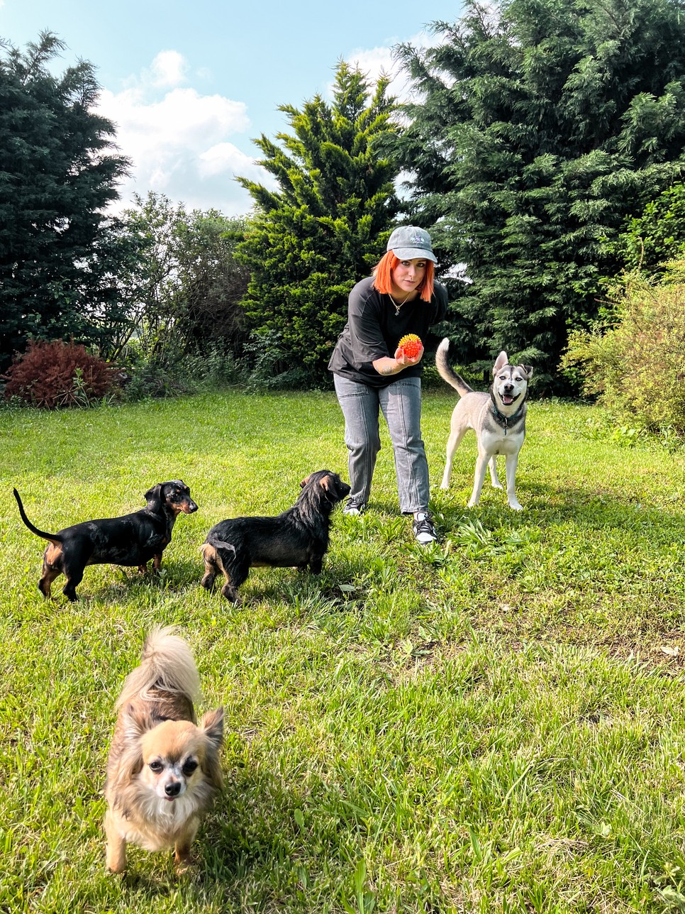 kutyak-bnagyreka-glamour