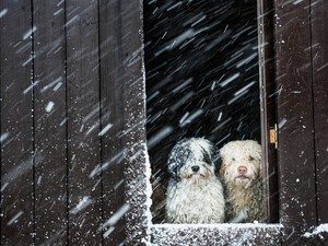 Globális felmelegedés: A téli hidegrekordok eltűnnek, a melegrekordokból egyre több lesz
