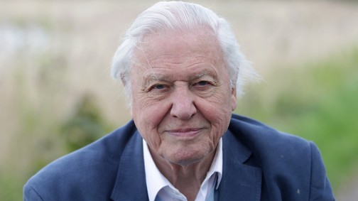 10 fotó a fiatal David Attenborough természettudósról, aki miatt sokkal jobb hely lett ez a világ