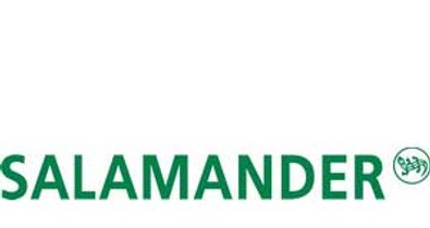 Salamander