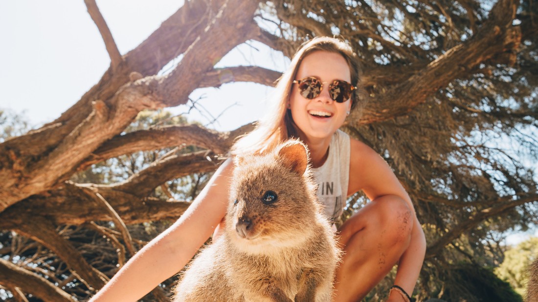 glamour ausztrália quokka