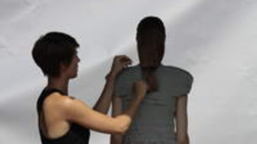 Újra vörös szőnyegen a USE!