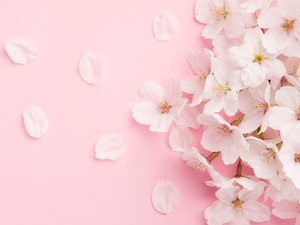 Miért érezzük romantikusabbnak magunkat tavasszal?