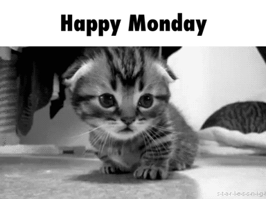 Ez most egy jobb hétfő lesz! - Egymondatos horoszkóp - október 10. hétfő