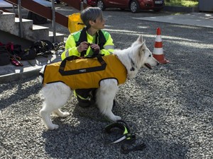 „A török földrengés borzalmaira nem lehetett felkészülni" - Riport Kovács Tímeával, a Keresőkutyás Szolgálat Alapítvány vezetőjével