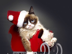 7 karácsonyi mém, ami tökéketesen leírja mit érzünk ünnepekkor