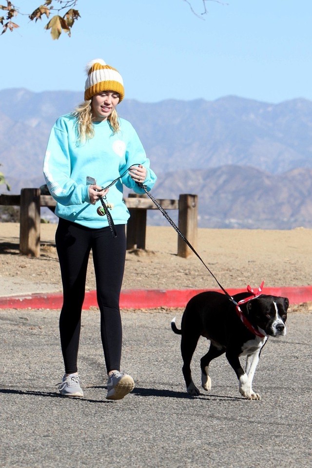 Miközben mi fagyoskodunk, Miley Cyrus kiskutyájával túrázik és új tetkót villant