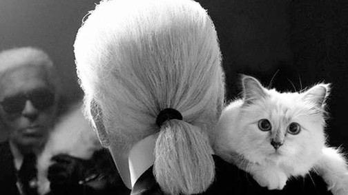 Szépségtippek a CHANEL atyjától, Karl Lagerfeldtől