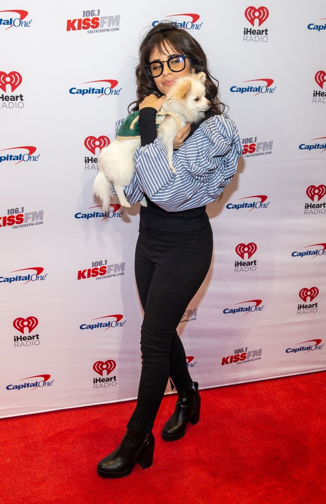 Nem hiszed el milyen cuki társsal érkezett a vörös szőnyegre Camila Cabello