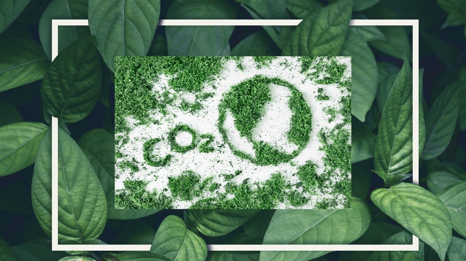 Karbonsemlegesítés. Kiváltható valamilyen módon a létezésünk káros oldala?