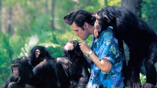 Ezek a világ legrosszabb munkái: légy hálás, ha a tiéd nincs a listán