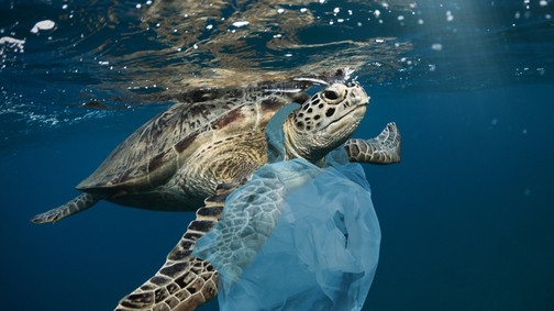 Nem a bioműanyag oldja meg a globális műanyagproblémát