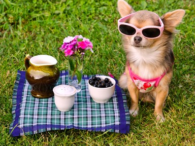 Ezek a növények az egekbe tolják a boldogsághormonjaidat