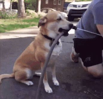 Biztos, hogy illik a személyiségtípusodhoz a munkád? Nézd meg mi passzolna hozzád