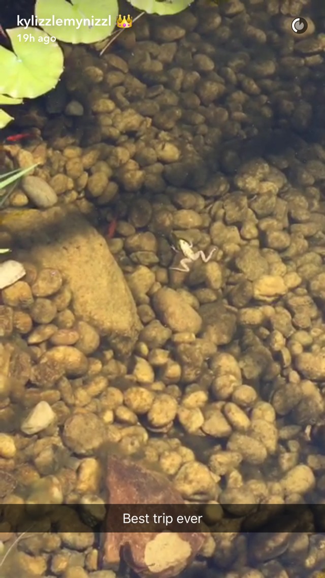 Balatoni stég, napraforgók - Kylie Jenner ezt látta Magyarországból