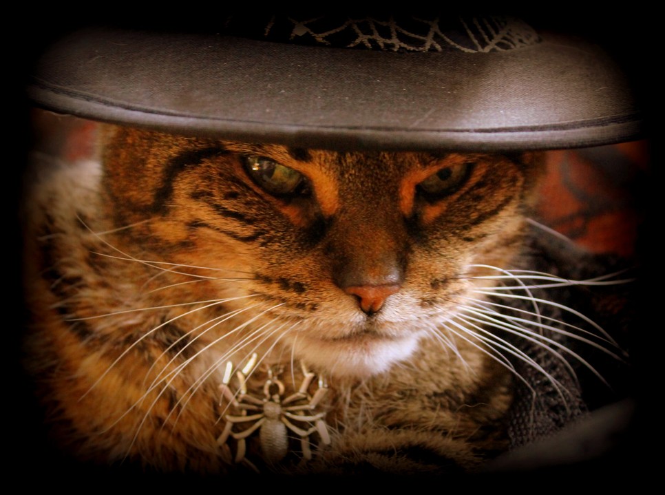 A feminista mozgalmak újjáélesztették a boszorkány alakját, mint a szabadság és önrendelkezés jelképe.