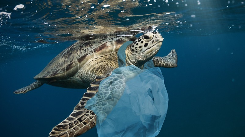 Nem a bioműanyag oldja meg a globális műanyagproblémát