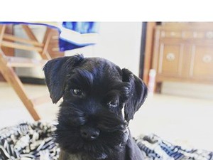 Zendaya kapta a legédesebb karácsonyi ajándékot