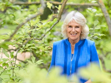 Különleges és intim részletet osztott meg Kamilla királyné az életéről, mindenkit meglepett a beszédével