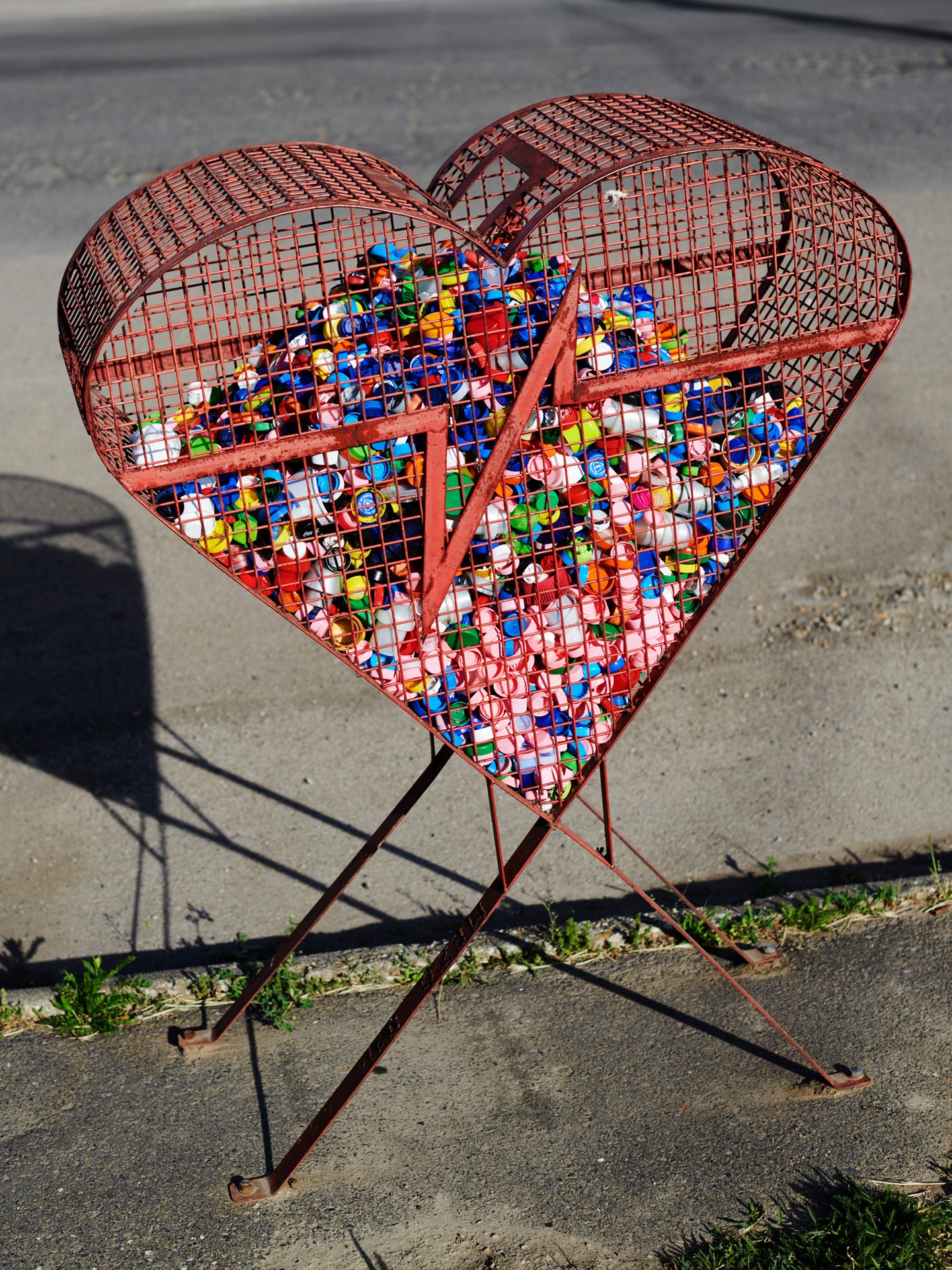 Tombor Zoltán Egy kép a Nelli című sorozatból, 2024 