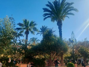 Fekete Judit: Néztük a tengert, az embereket, és leesett, hogy mit is csináltunk