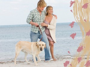 Ez a kutyafajta illik hozzád legjobban a horoszkópod szerint