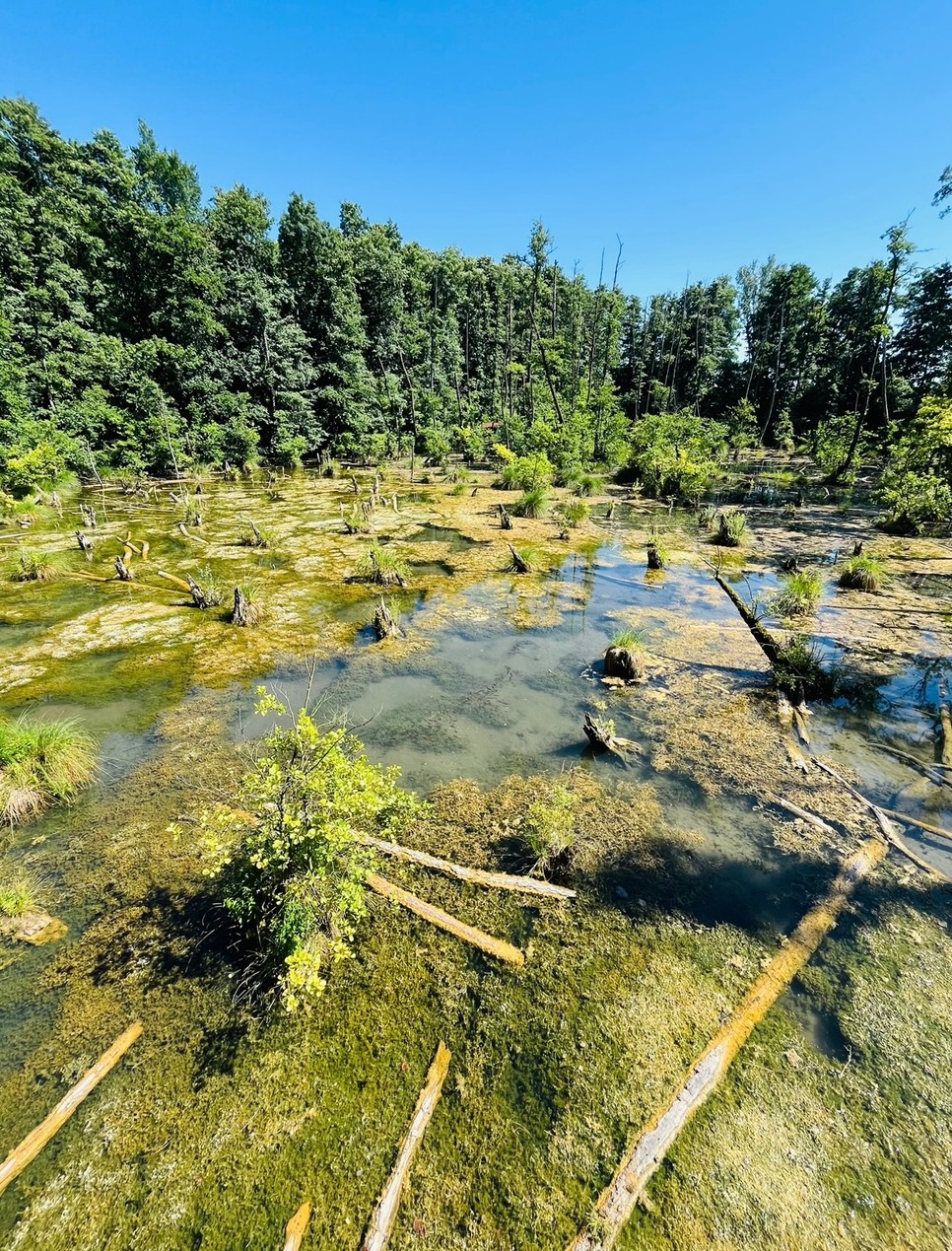 A Tatai Fényes Tanösvény egész évben, szezonon kívül is látogatható