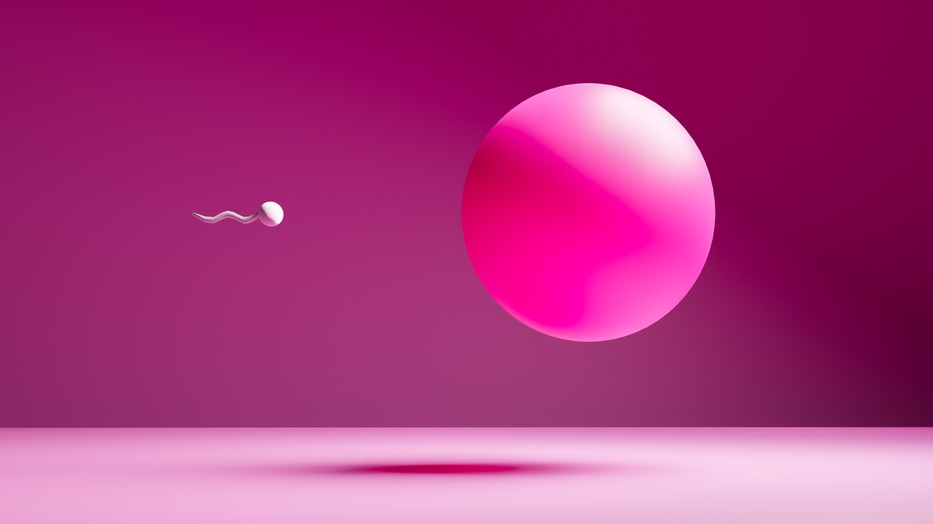 Hogyan javíthat egy férfi a hímivarsejtjei minőségén és mennyiségén? A termékenység nem csak a nők ügye!