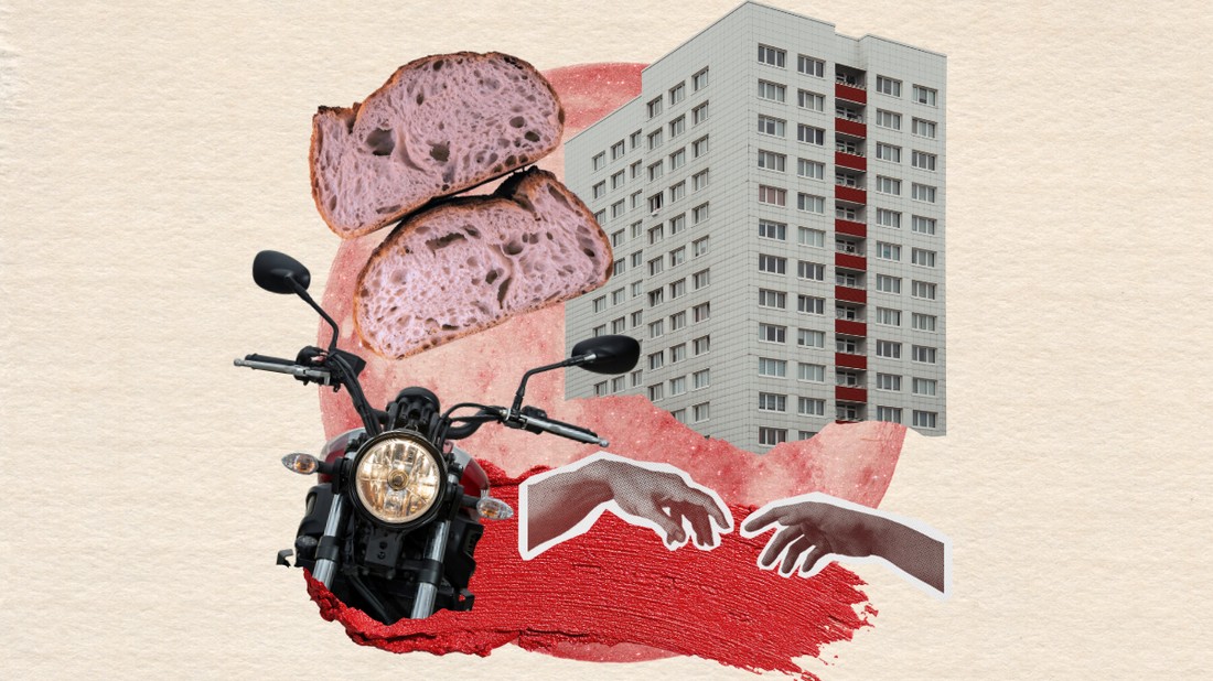 Virág novella borító