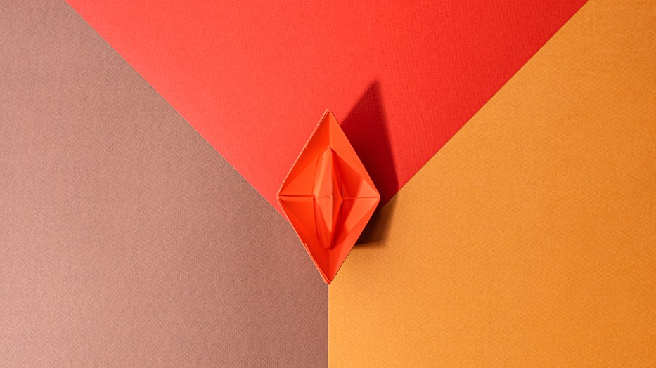 10 tény, amit mindenkinek tudnia kell a hüvelyről