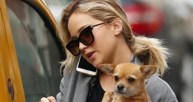 Jennifer Lawrence újra együtt a volt pasijával?