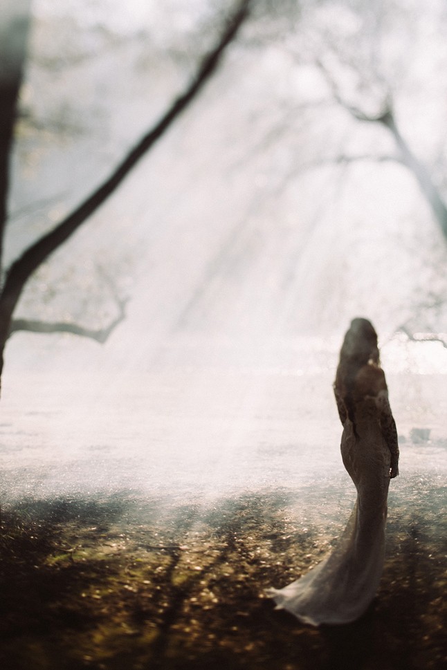 A tündérmesék menyasszonyai elevenednek meg Nora Sarman Wilderness kollekciójában