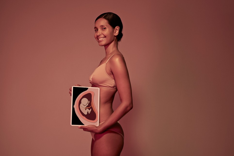 A méhlepény ugyanabból a sejtből alakul ki, mint a magzat