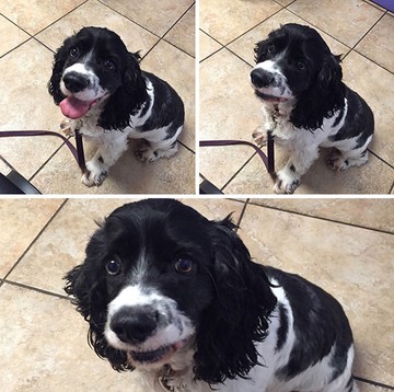 Teljes kétségbeesés