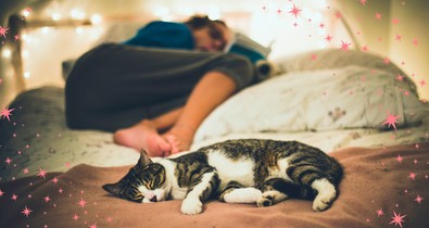 Nincs több álmatlan éjszaka: ettől az egyszerű skandináv trükktől úgy alszol majd, mint a bunda