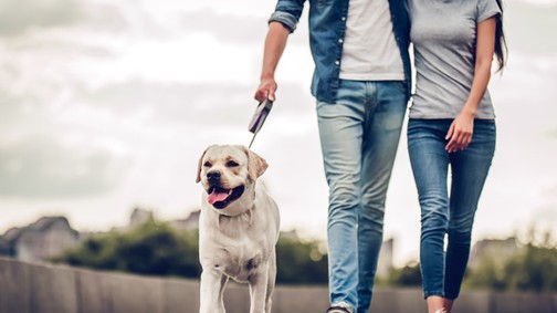 Fogyás sétával? Ezzel a trükkel lehetséges