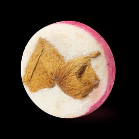 Coconut Rice Cake: Ezt a hidratáló összetevőkkel teli, pompásan lágyító sampont imádni fogja a kókuszod!