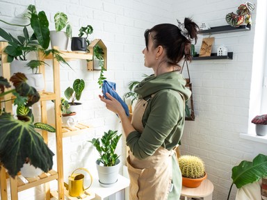 Létezik egy hajtogatási technika, ami örökre megváltoztatja az életedet