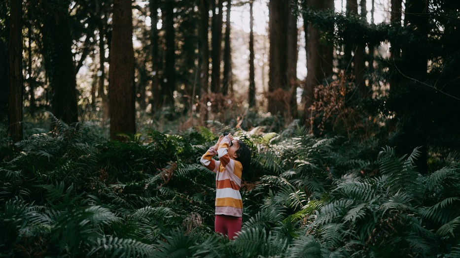 Gyereknap: Látnivalók gyerekekkel - vagy a benned élő gyermeknek