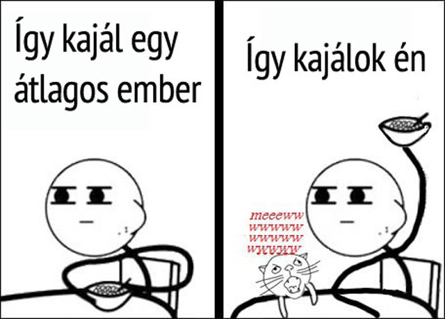 A GLAMOUR-napokat a cicád is imádja!