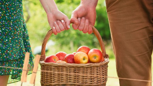 Ha ezeket a gyümölcsfákat elülteted, még a dédunokáid is enni fognak róla