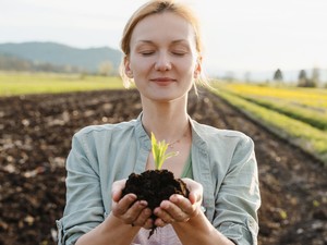 Tudósok megnevezték azt az egy zöldséget, amelyet termesztenünk kellene az apokalipszis túléléséhez