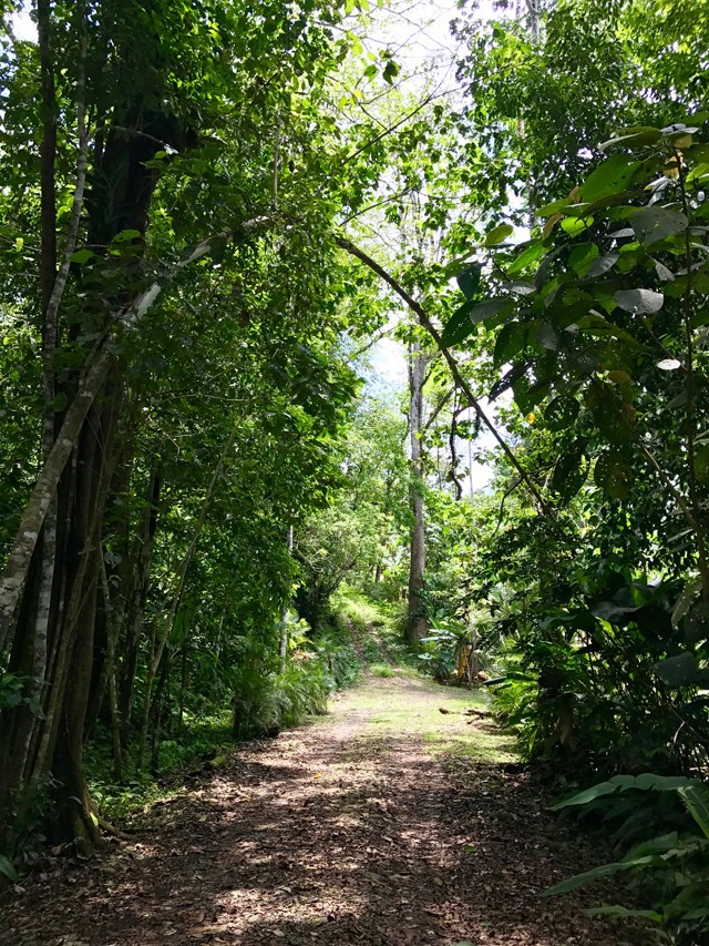 Vajon melyik a jó út?