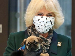 Camilla Parker a világ legédesebb emléktábla-felavatását vitte véghez kutyusával