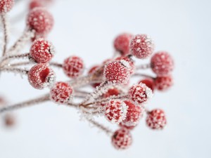 Háromszor kevesebb a fagyos napok száma az elmúlt 120 évben Magyarországon a klímaváltozás miatt