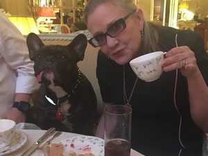 Így reagált Carrie Fisher kutyusa, amikor az új Star Wars-ban meglátta gazdáját! Nagyon megható!