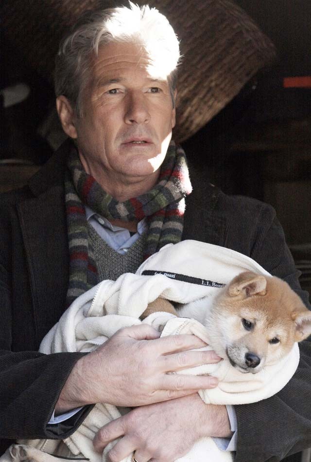 Kutatások bizonyítják, hogy a cuki állatos videók jó hatással vannak az agyadra