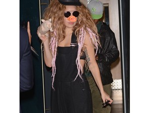 Lady Gaga, a disznó