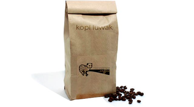 Egy macska kakilja ki a világ legdrágább kávéját